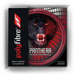 Polyfibre Polyfibre Panthera Sets Individuales 12m-Rojo