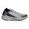 Terrex Agravic GTX Zapatilla trail Hombres-gris, blanco