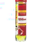 Pelotas de tenis Wilson Wilson Championship  Bote de 4 pelotas 