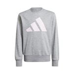 Ropa adidas Essentials Sweatshirt