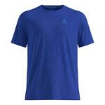 Ropa Odlo Odlo Zeroweight Engineered Chill-Tec Camiseta de running Hombres-azul