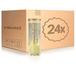 Pelota presurizada HEAD HEAD Tour Bote De 3 Pelotas