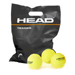 Pelotas de tenis HEAD HEAD Trainer Bolsa de 72 