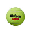 Wilson