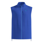 Ropa Odlo Odlo Zeroweight  Chalecos para correr Hombres-azul