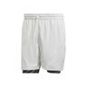 2in1 Pro Shorts Hombres-Gris Claro,Negro