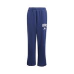 Ropa adidas J CLGT FL PNT
