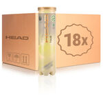 Pelota presurizada HEAD HEAD Tour Swiss Official Bote de 4 pelotas 