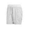 Ergo Pro 7in Shorts Hombres-Gris Claro