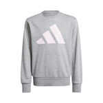 Ropa adidas adidas Essentials Sudadera Niños-Gris,Blanco