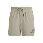 Ropa adidas adidas Z.N.E. Woven Shorts Hombres-Beige