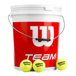 Pelotas De Tenis Wilson Team W Trainer 72 Tennisbälle im Eimer