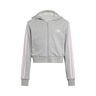 Essentials Crop Sudadera Con Cremallera Niños-Gris