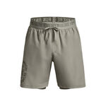 Ropa Under Armour Run Everywhere Shorts