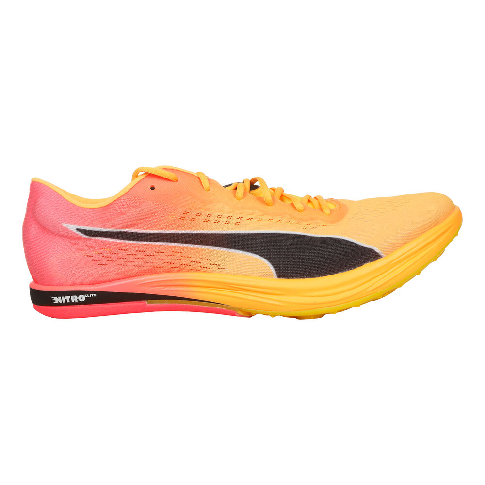 Puma EvoSPEED Long Distance Nitro Elite+ Spikes Hombres - Naranja, Rosa