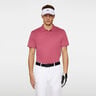 Leroy Polo Hombres-Berry