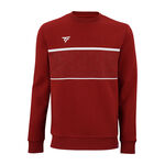 Ropa Tecnifibre Tecnifibre Team Sudadera Hombres-Rojo Oscuro