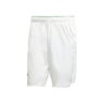 Ergo 9Inch Shorts Hombres - blanco