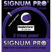 Signum Pro
