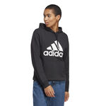 Ropa adidas Big Logo Hoody