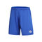 Persia Shorts