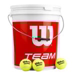 Pelotas de tenis Wilson Wilson Team W Trainer Cubo De 72 Edición Especial