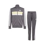 Ropa adidas 3Stripes Essentials Tiberio Tee